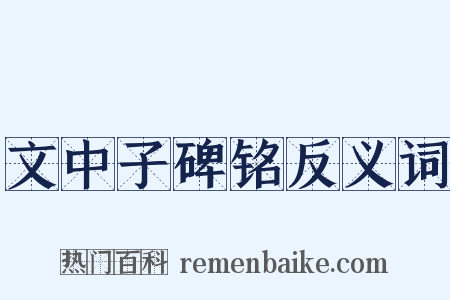 文中子碑铭反义词是什么意思的图片